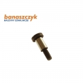 1WF3-017D SCREW FOR GC20606-L18
