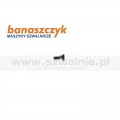 228WF4-015 śrubka GC20665-D2T3