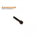 93WF17-013 screw for Typical TW1-898