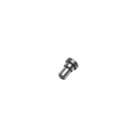 Zdjecie